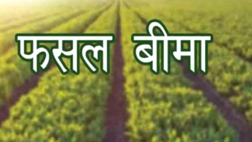 फसल बीमा बना दुश्मन: कंपनियों ने चूसा 17 करोड़, लौटाए सिर्फ 7 करोड़ !
