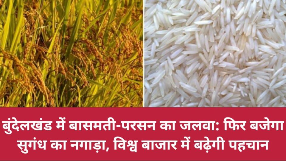 चित्रकूट बनेगा 'सौर ऊर्जा' का नया हब: 3400 एकड़ में सजेगा 800 मेगावाट का सोलर प्लांट