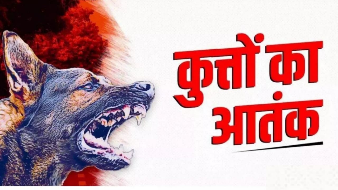 आवारा कुत्तों का 'आतंक': ढाई लाख से ज्यादा की फौज, प्रशासन लाचार, खतरे में जनजीवन