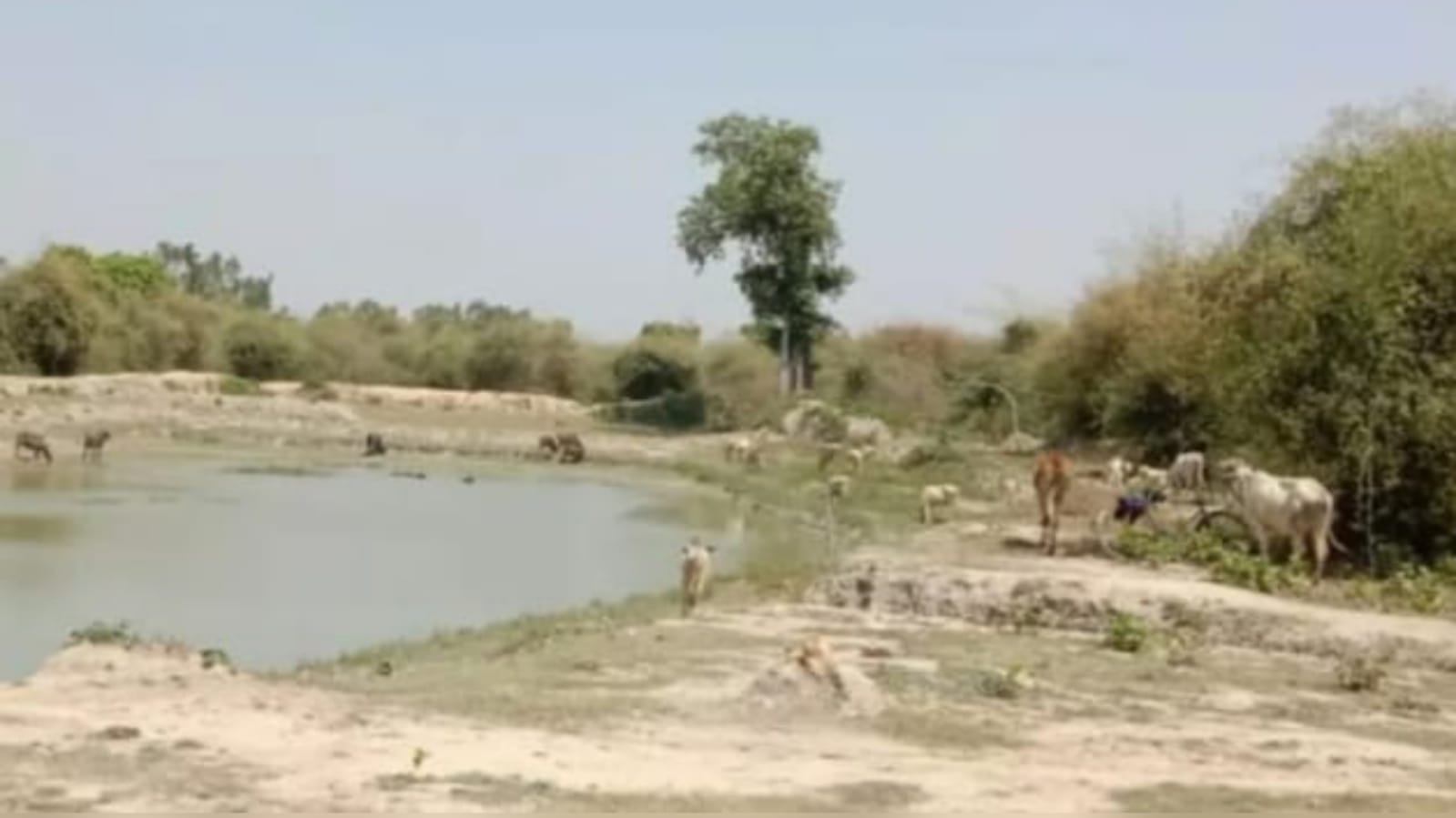 बुंदेलखंड के 4050 तालाब और कुएँ भ्रष्टाचार के हुए शिकार: अब हाईकोर्ट ने उठाया डंडा