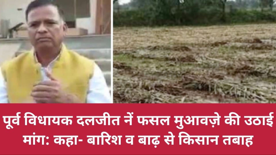 पूर्व विधायक दलजीत सिंह नें फसल मुआवज़े की उठाई मांग: कहा बारिश व बाढ़ से किसान तबाह