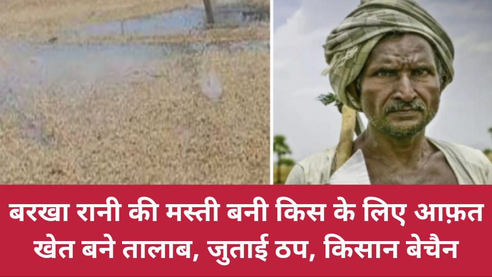 बरखा रानी की मस्ती बनी किस के लिए आफ़त: खेत बने तालाब, जुताई ठप, किसान बेचैन
