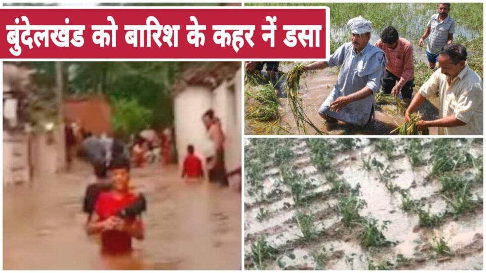 बुंदेलखंड को बारिश के कहर नें 'डसा' : बाढ़ एवं अतिवृष्टि के पाटों में मचा भीषण तबाही का मंजर