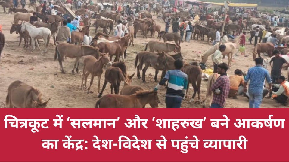 चित्रकूट में ‘सलमान’ और ‘शाहरुख’ बने आकर्षण का केंद्र: देश-विदेश से पहुंचे व्यापारी