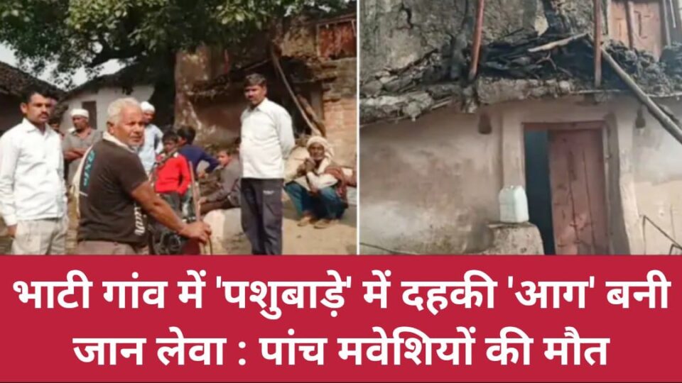 भाटी गांव में 'पशुबाड़े' में दहकी 'आग' बनी जान लेवा : पांच मवेशियों की मौत