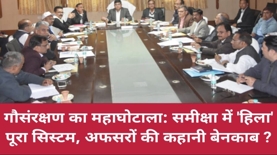 गौसंरक्षण का 'महाघोटाला' : समीक्षा में 'हिला' पूरा सिस्टम, अफसरों की कहानी बेनकाब ?