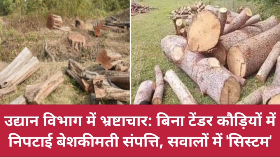 उद्यान विभाग में भ्रष्टाचार: बिना 'टेंड'र कौड़ियों में निपटाई 'बेशकीमती' संपत्ति, सवालों में 'सिस्टम'