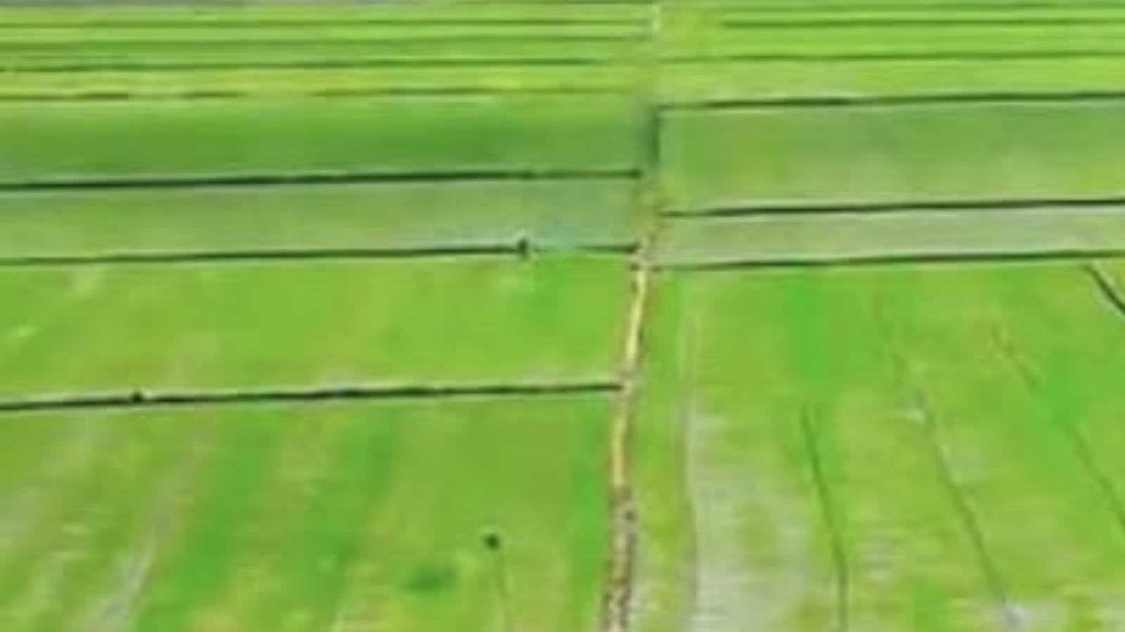 चित्रकूट मंडल में 50 साल बाद पिघली 'चकबंदी' की बर्फ: 380 गांवों को मिलेगा 'डिजिटल सहारा'