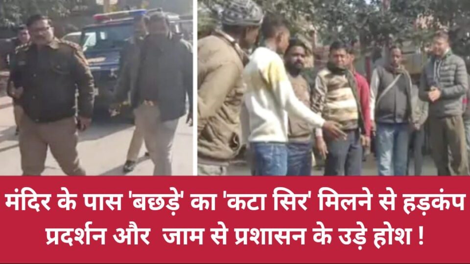 मंदिर के पास 'बछड़े' का 'कटा सिर' मिलने से हड़कंप: प्रदर्शन और जाम से प्रशासन के 'उड़े होश' !