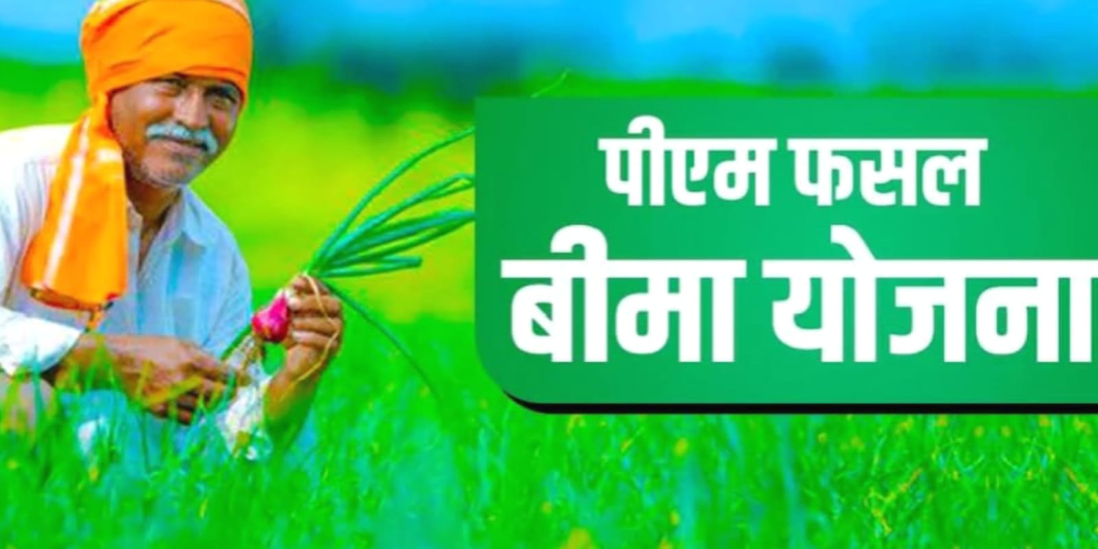 फसल बीमा 'घोटाला': दो लाख किसानों के 'खाते' अब 'जांच' के 'राडार' पर
