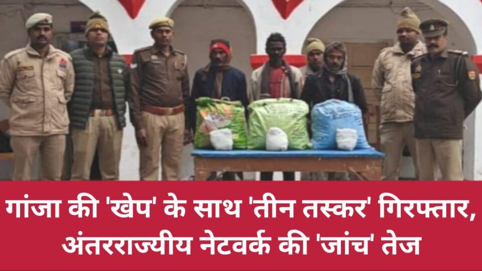 गांजा की 'खेप' के साथ 'तीन तस्कर' गिरफ्तार: अंतरराज्यीय नेटवर्क की 'जांच' तेज