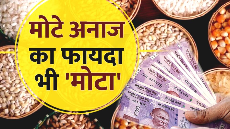 किसानों को मोटा अनाज 'मोटी आमदनी' का बन जायेगा जरिया : खर्च हो रहे साढ़े पांच करोड़