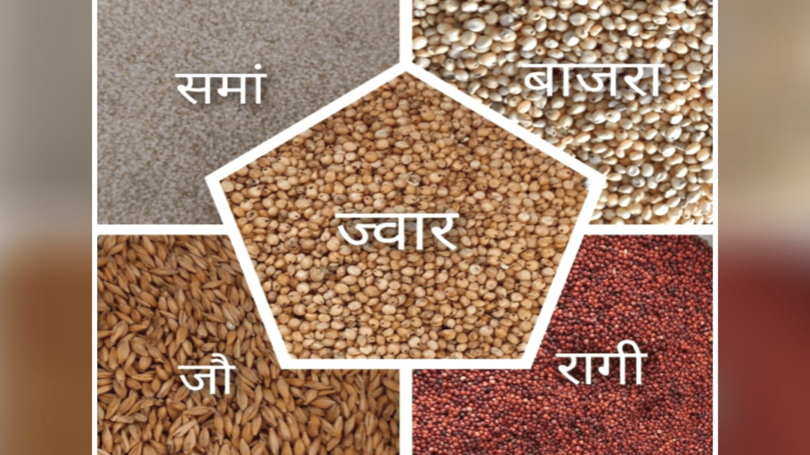किसानों को मोटा अनाज 'मोटी आमदनी' का बन जायेगा जरिया : खर्च हो रहे साढ़े पांच करोड़