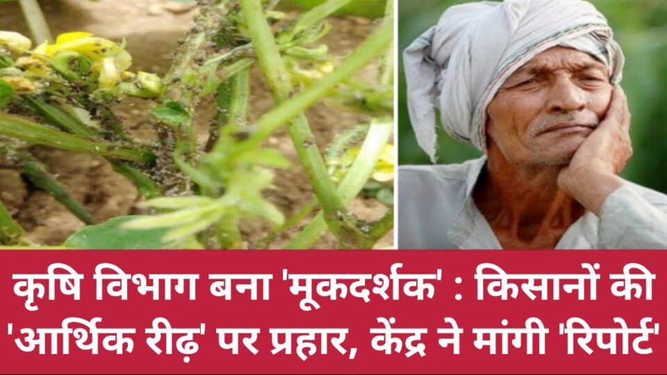 कृषि विभाग बना 'मूकदर्शक' : किसानों की 'आर्थिक रीढ़' पर प्रहार, केंद्र ने मांगी 'रिपोर्ट'