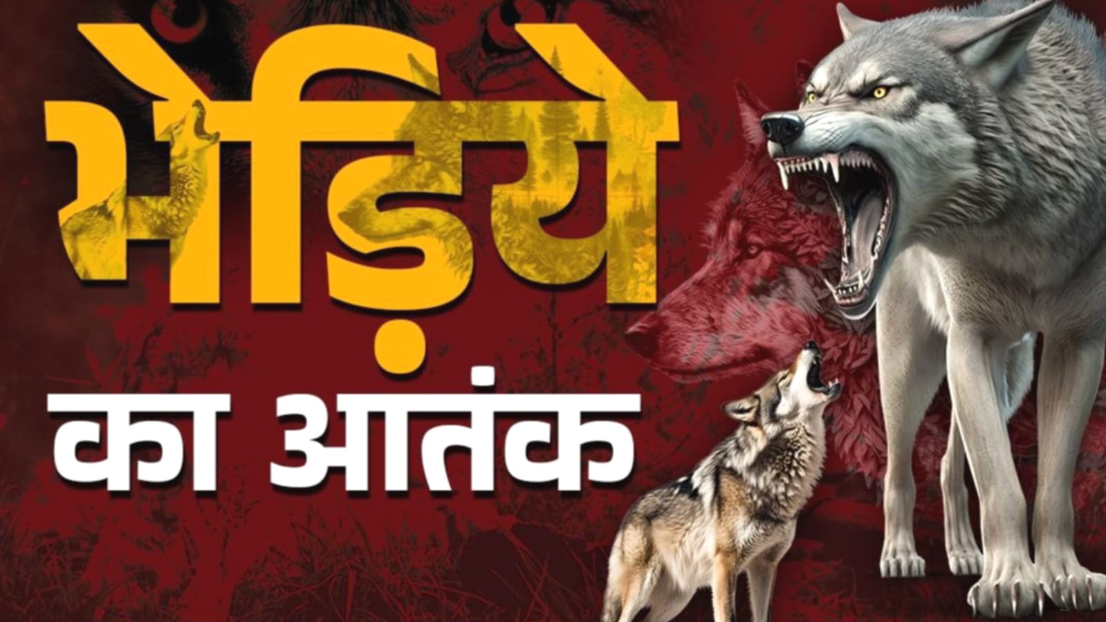 खूंखार भेड़िए का खौफनाक आतंक: पशुबाड़े में घुसकर मचाया खूनी तांडव, 20 भेड़ों की मौत