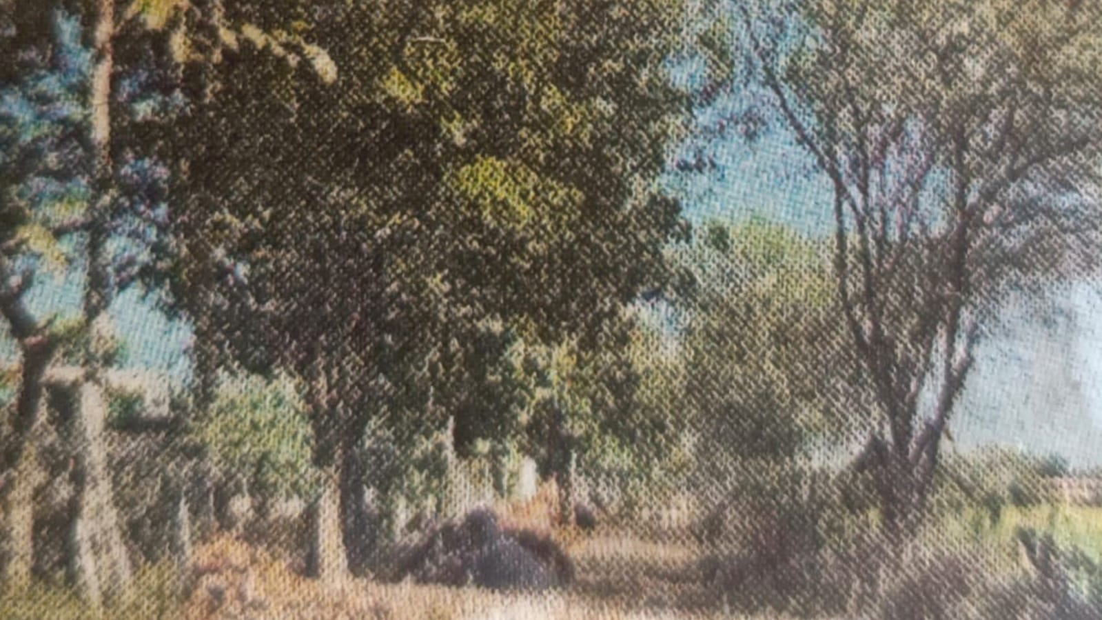 विकास बना 'लूट' का रोडमैप: आठ करोड़ का अनियमित भुगतान, डीएम ने बैठाई जांच