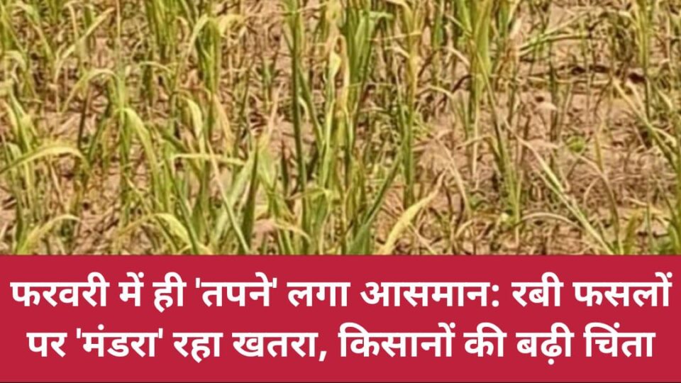 फरवरी में ही 'तपने' लगा आसमान: रबी फसलों पर 'मंडरा' रहा खतरा, किसानों की बढ़ी चिंता