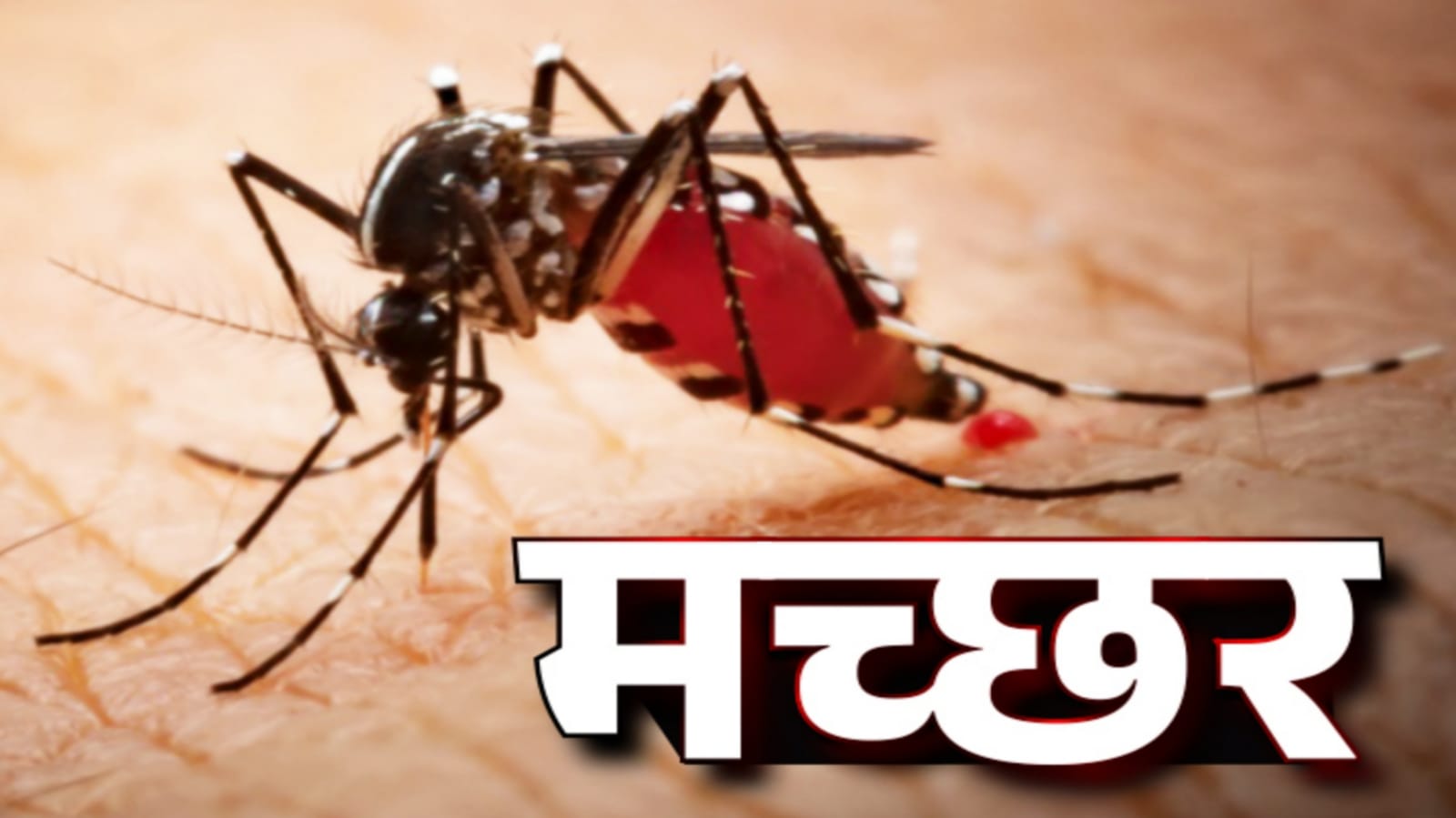 गर्मी में बढ़ा प्रकोप: रातों की 'नींद' हराम; बीमारियों का खतरा मंडराया, जिम्मेदार मौन !