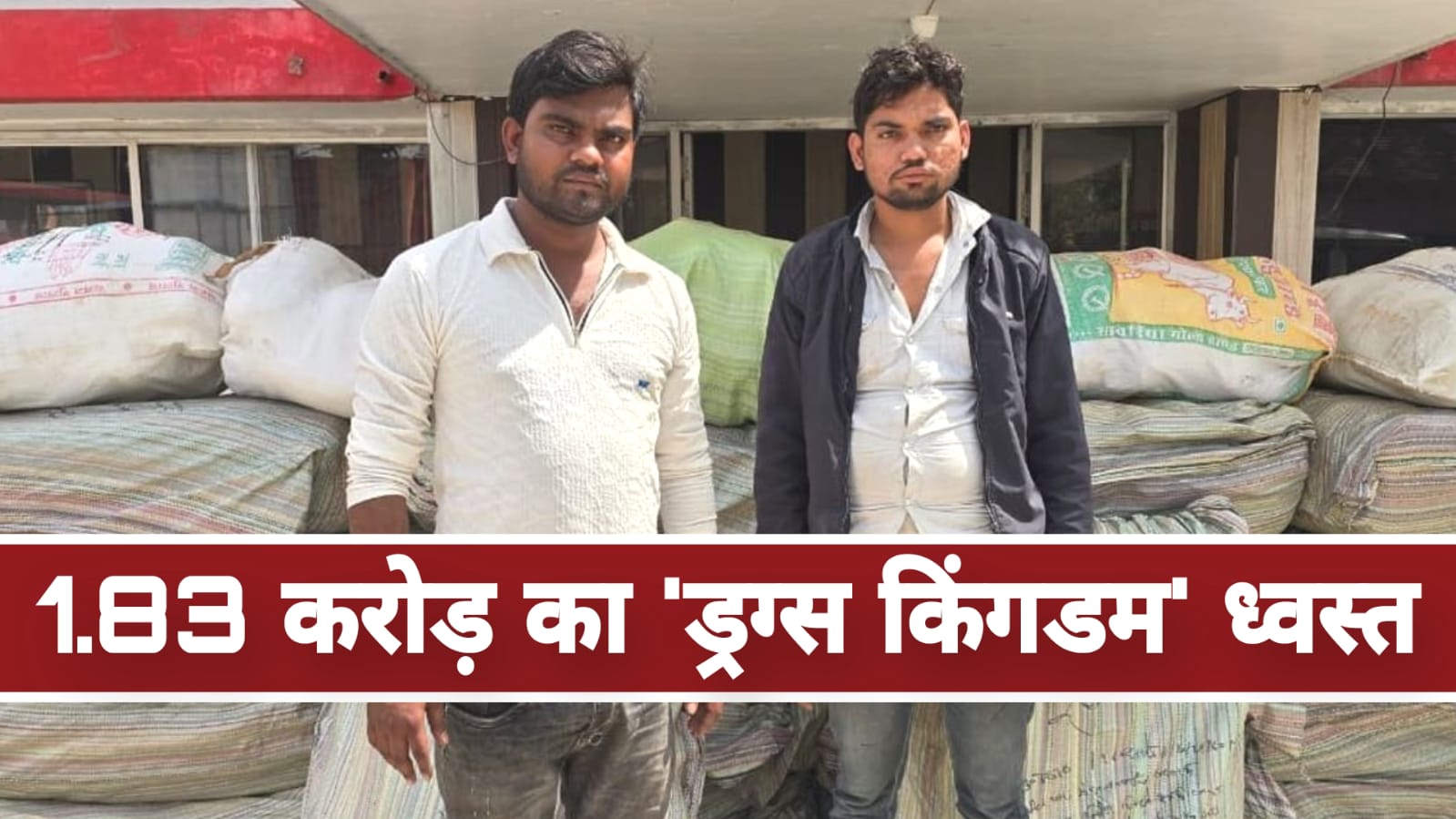 1.83 करोड़ का 'ड्रग्स किंगडम' ध्वस्त: 733 किलो गांजा 'कंटेनर' जब्त, अंतरराज्यीय गिरोह बेनकाब