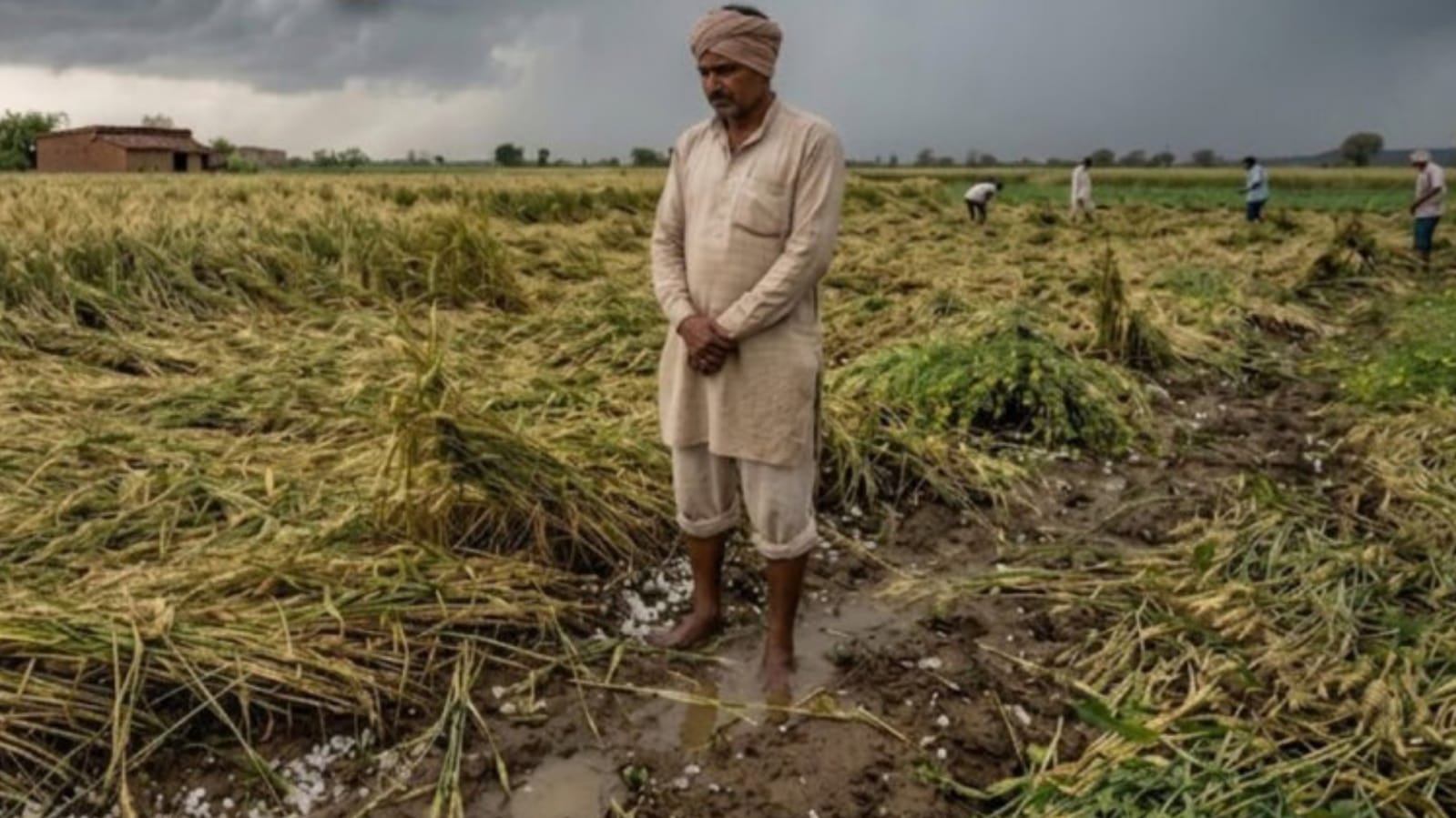 आसमान से आफत: ओलावृष्टि और बेमौसम बारिश ने'मचाई' तबाही, किसानों की 'कमर' टूटी