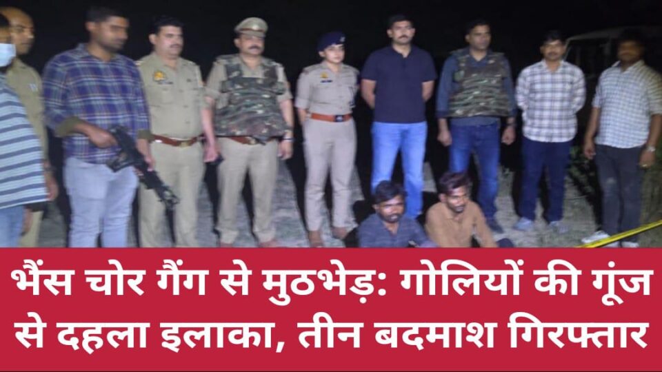 भैंस चोर गैंग से मुठभेड़: गोलियों की गूंज से दहला इलाका, तीन बदमाश गिरफ्तार