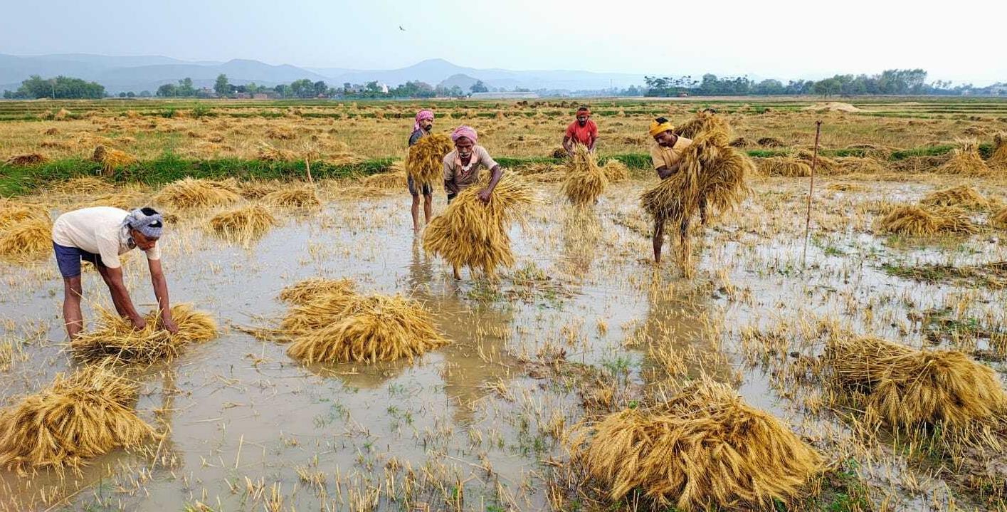 मौसम ने फिर दिखाया 'रौद्र रूप' : चारों तरफ तबाही, किसानों में 'हाहाकार' !