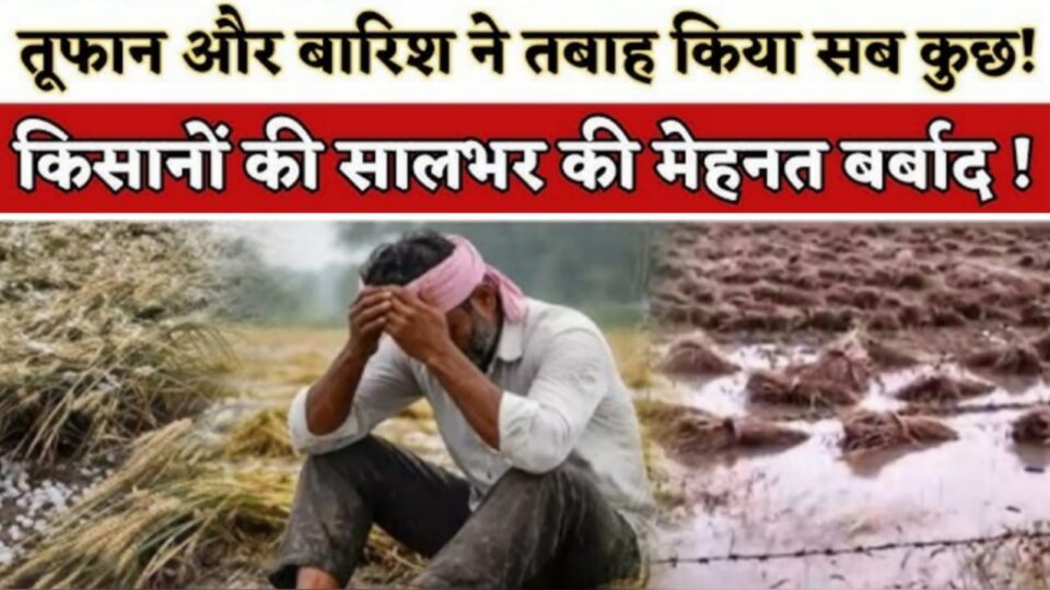 मौसम ने फिर दिखाया 'रौद्र रूप' : चारों तरफ तबाही, किसानों में 'हाहाकार' !