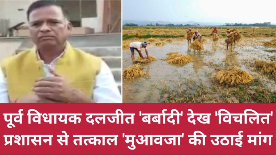 पूर्व विधायक दलजीत 'बर्बादी' देख 'विचलित': प्रशासन से तत्काल 'मुआवजा' की उठाई मांग !