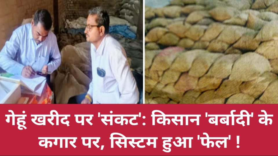 गेहूं खरीद पर 'संकट': किसान 'बर्बादी' के कगार पर, सिस्टम हुआ 'फेल' !