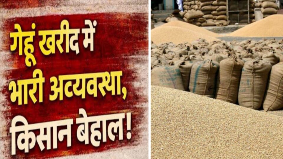 रजिस्ट्री का फंदा: एमएसपी सिस्टम ध्वस्त, 95 हजार अन्नदाता कंगाल, बिचौलिये मालामाल !