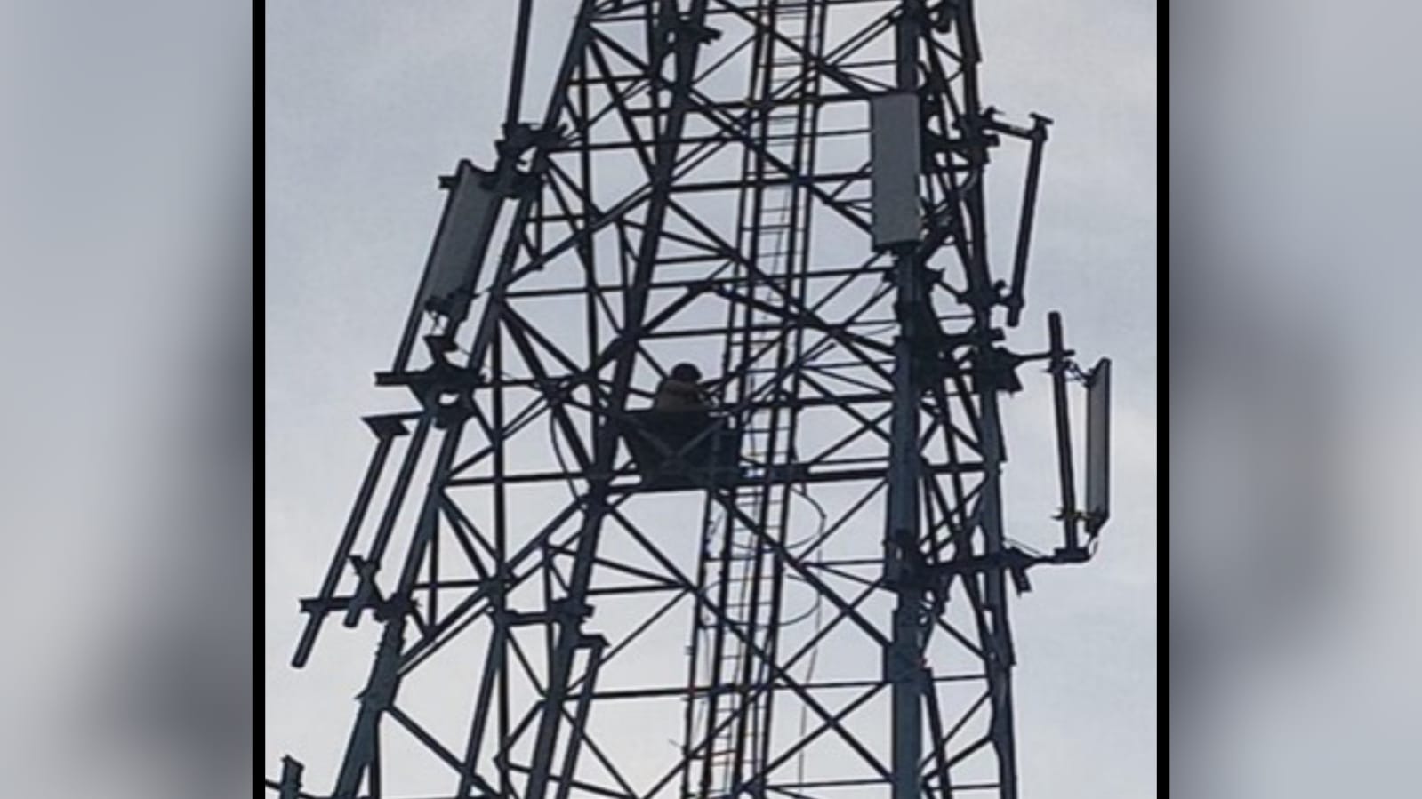 इश्क में पागलपन: प्रेमी 'टावर' पर चढ़ा, घंटों चला 'हाई वोल्टेज' ड्रामा !