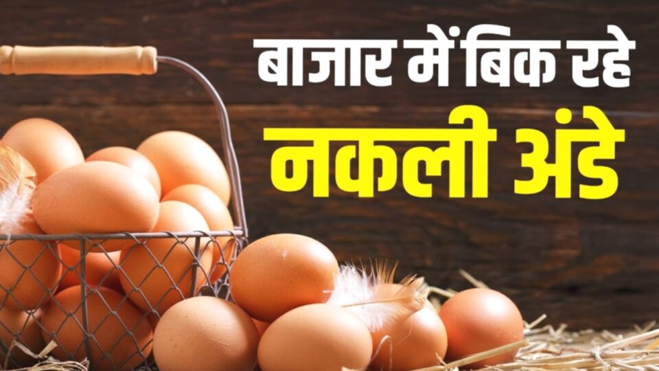 बाजार में 'धड़ल्‍ले' से ब‍िक रहे 'नकली' अंडे: सेहत हो रही है खराब !