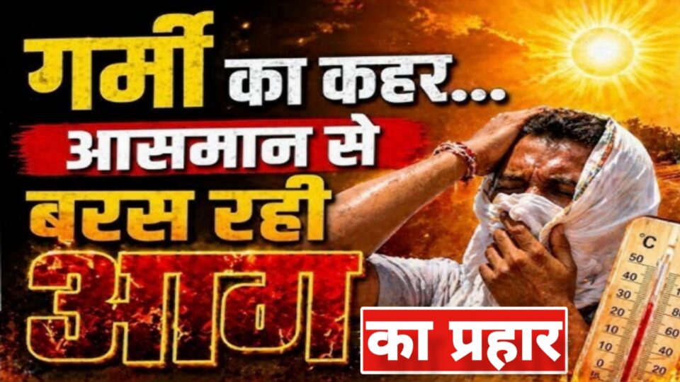 आसमान से बरस रही है 'आग': इंसान बेहाल, प्यासे बेज़ुबान, जब 'गर्मी' ने छीनी 'चैन की सांस'