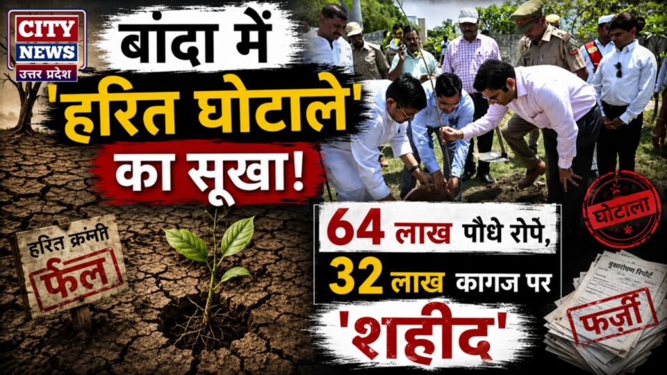 बांदा में 'हरित घोटाले' का सूखा: 64 लाख पौधे रोपे, 32 लाख कागज पर 'शहीद'