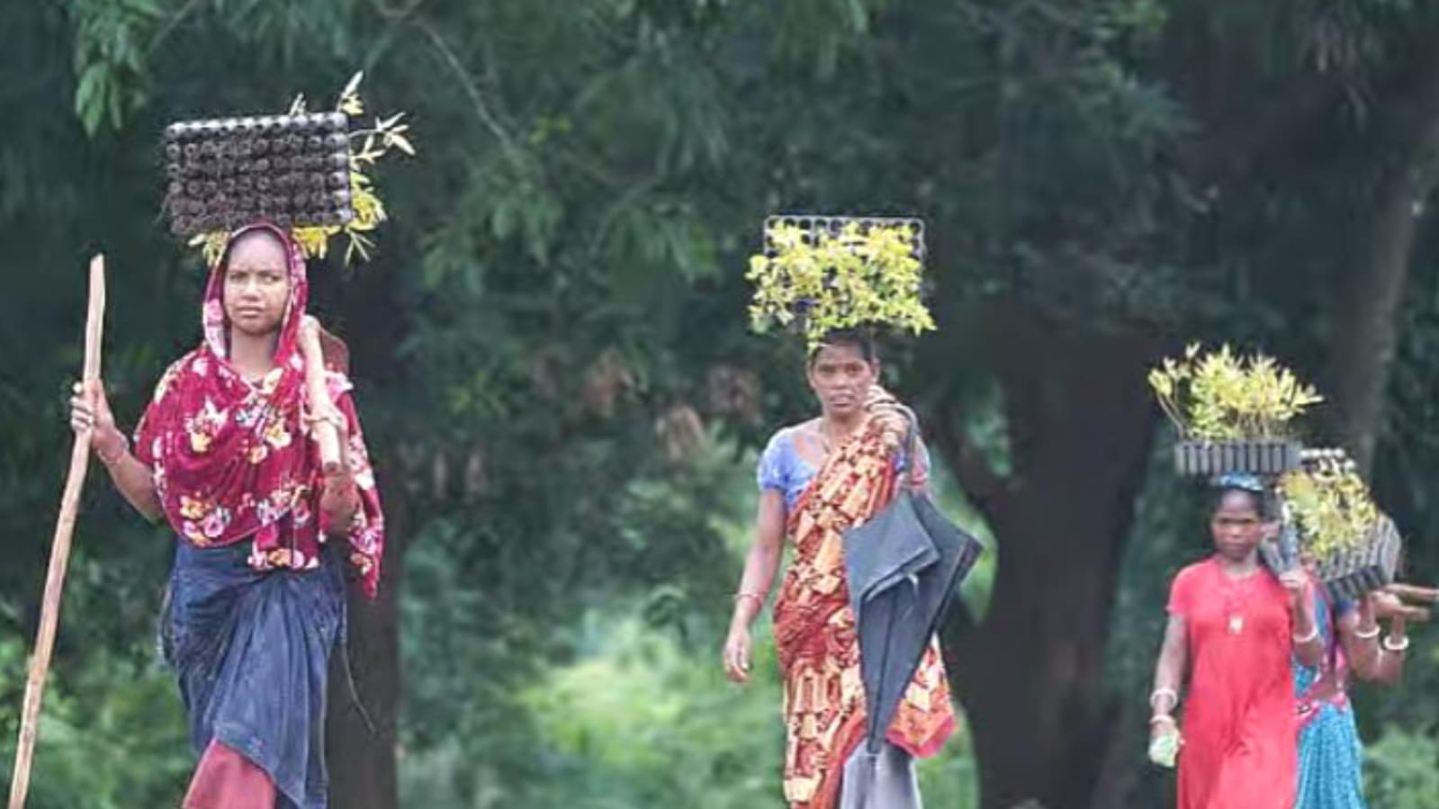 अभागा बांदा यहां कर्ज की फांसी, बेरोजगारी की डायन, पलायन की मजबूरी एवं सांस लेना गुनाह ? 