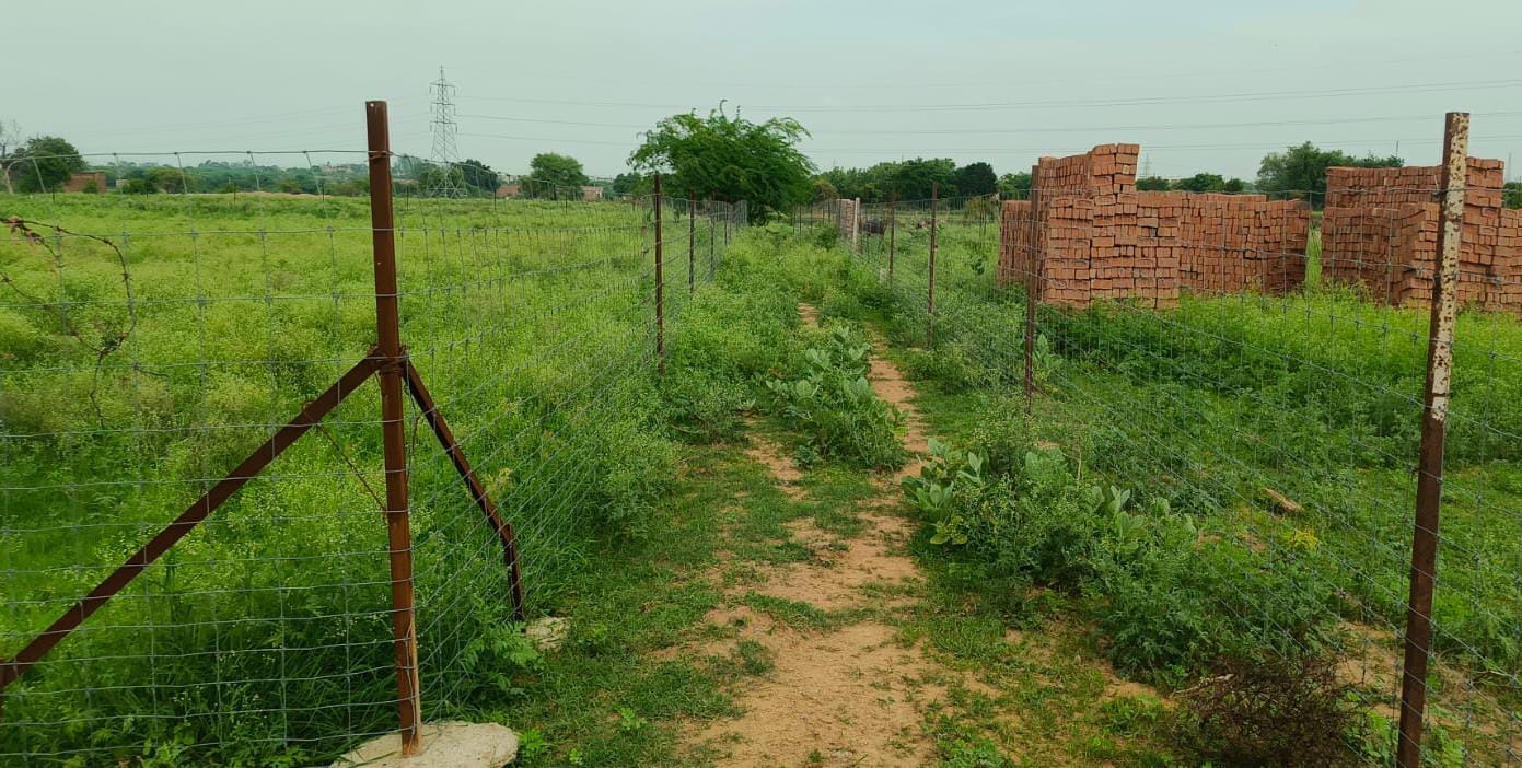 पत्रकार की जमीन पर 'राजस्व सिंडिकेट' का हमला? भूमाफिया बचाने को खेत में घुसाई नाप, डीएम-एसडीएम से कार्रवाई की गुहार