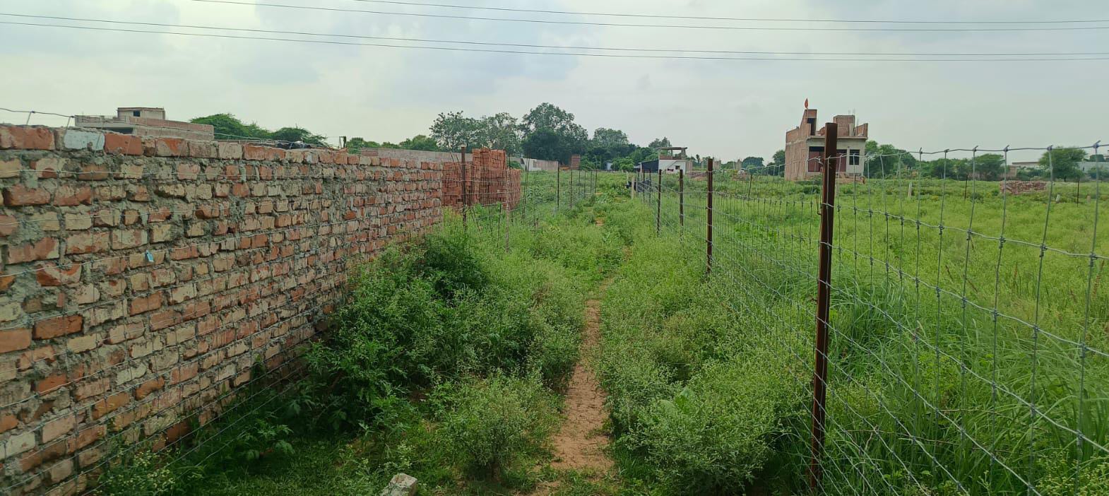 पत्रकार की जमीन पर 'राजस्व सिंडिकेट' का हमला? भूमाफिया बचाने को खेत में घुसाई नाप, डीएम-एसडीएम से कार्रवाई की गुहार