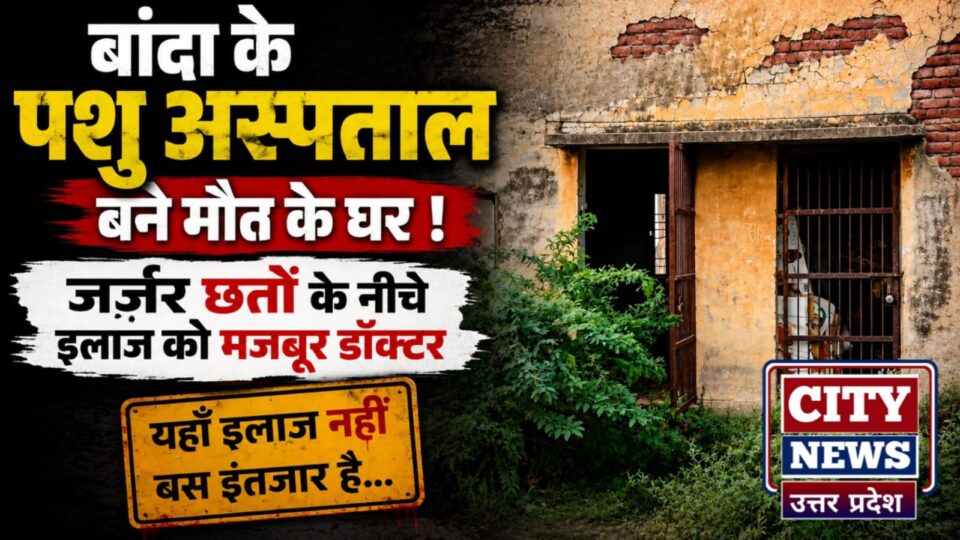 बांदा के 'पशु अस्पताल' बने 'मौत के घर': जर्जर छतों के नीचे 'इलाज' को 'मजबूर डॉक्टर'