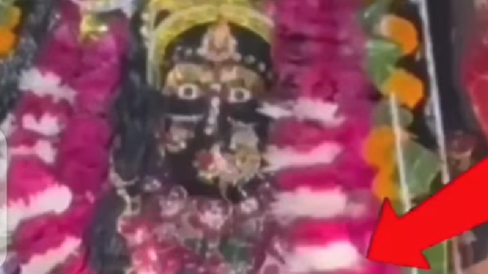 पूजा के दौरान हिली माँ काली के गले की माला: श्याम मोहन को मिला आशीर्वाद, वीडियो वायरल