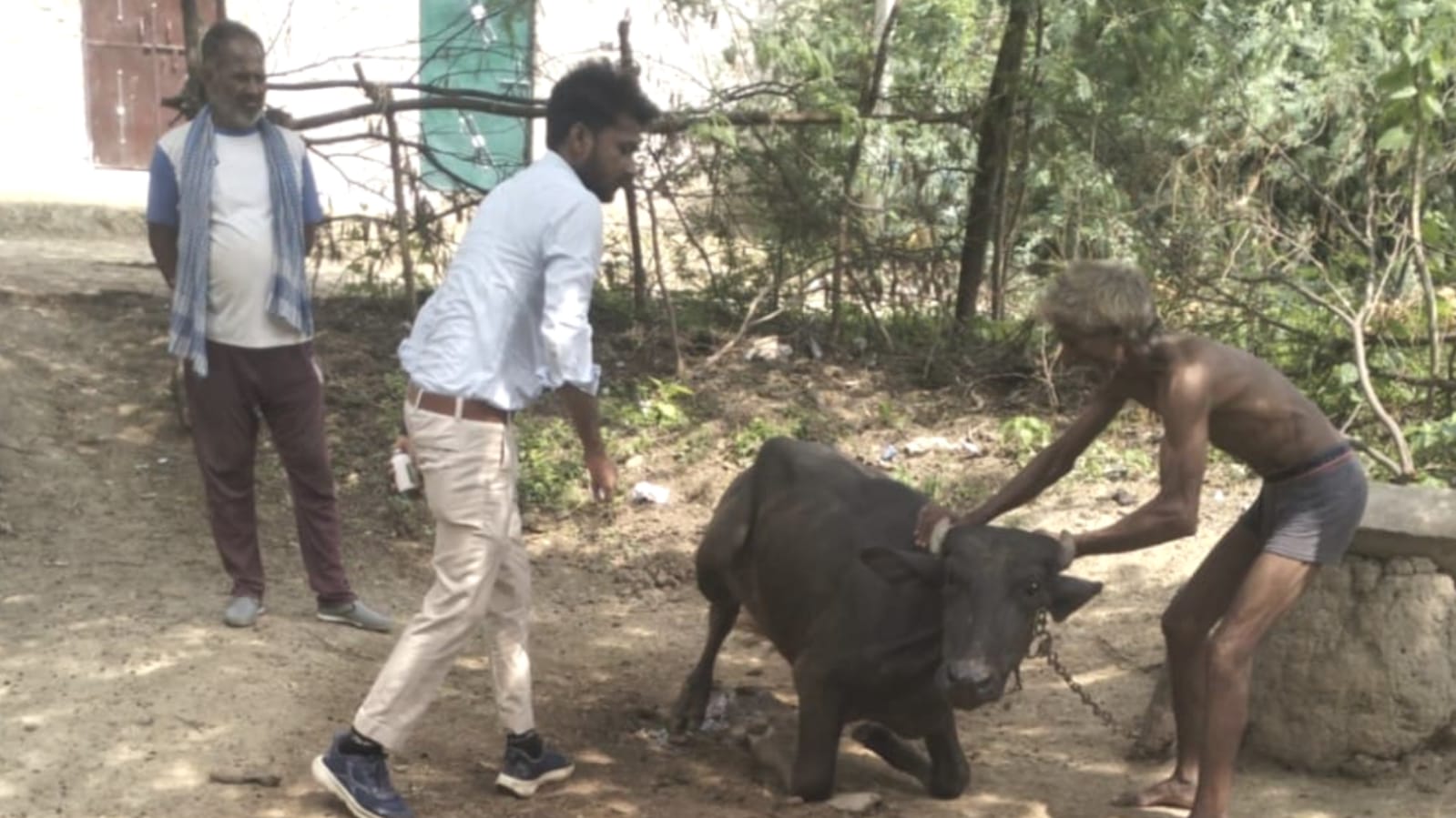 बुंदेलखंड में 'महामारी' का साया: फर्जी 'आंकड़े' चमकाए, टीकाकरण में 'लापरवाही' उजागर !