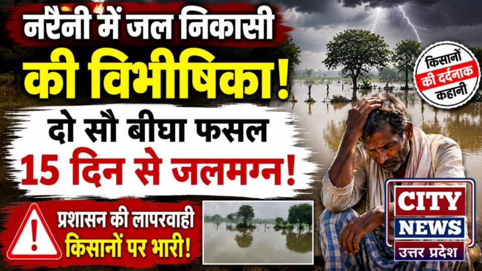 नरैनी में 'जल निकासी' की 'विभीषिका': दो सौ बीघा फसल 15 दिन से 'जलमग्न'