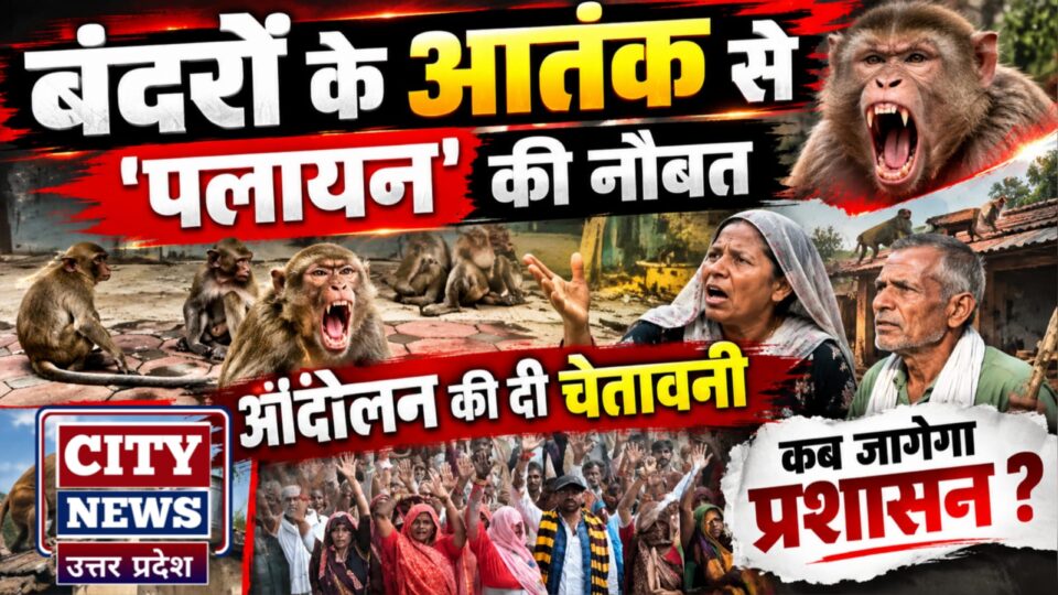 बंदरों के आतंक से 'पलायन' की नौबत: आंदोलन की चेतावनी, कब जागेगा प्रशासन ?