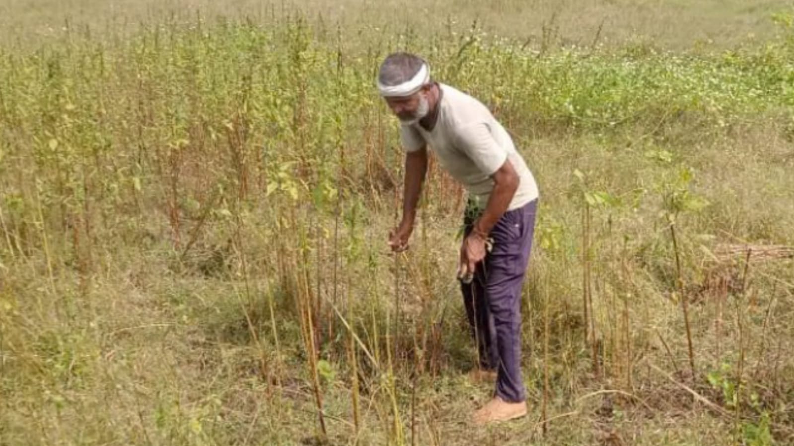 कर्ज में डूबे किसान: हाय राम जानें क्या होगा, सर्वे के इंतजार में टूट रही उम्मीदें ! 